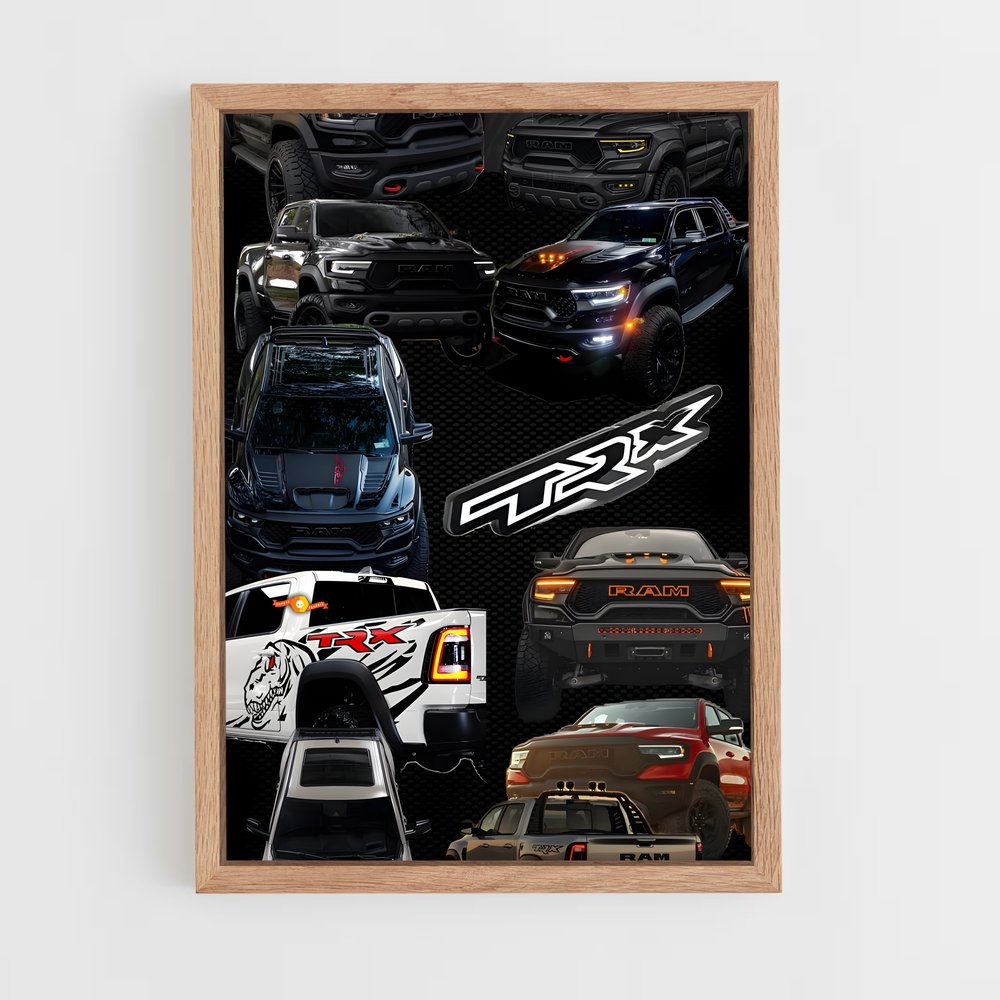 Poster Évolution Nissaneuse – affiche Dodge (vue 4)